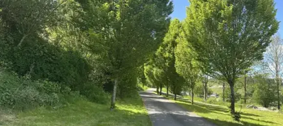 Quinta de 11 divisões em Hochsauerlandkreis, Germany N.º 254894 15