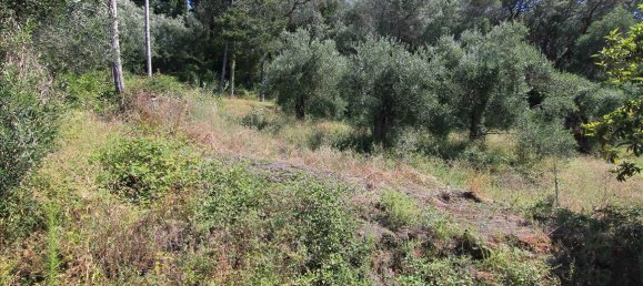 12 bedrooms Townhouse in Corfu, Greece No. 5600 28