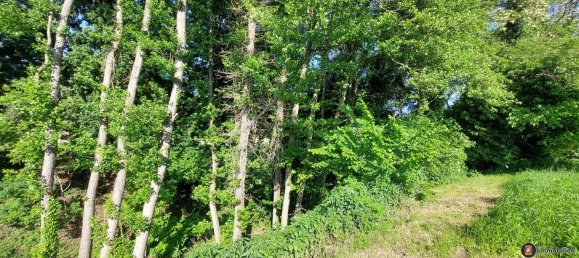 8غرفة منزل في Neckenmarkt, Austria رقم 246705 20