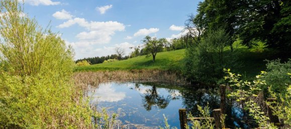 11غرفة منزل في Ilz, Austria رقم 185803 34