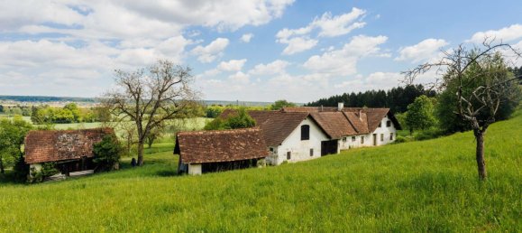 11غرفة منزل في Ilz, Austria رقم 185803 6