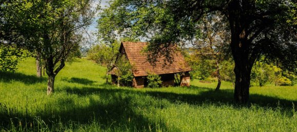 11غرفة منزل في Ilz, Austria رقم 185803 36