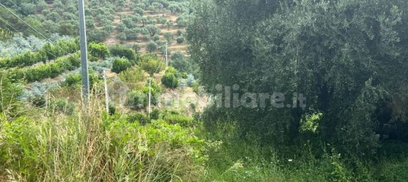 1 room Warehouse in Arnasco, Italy No. 311363 11