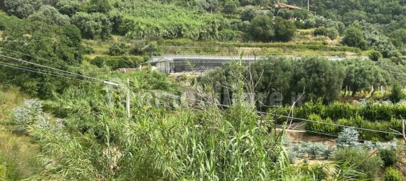 1 room Warehouse in Arnasco, Italy No. 311363 4