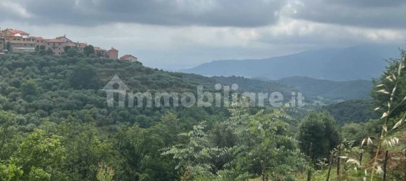 1 room Warehouse in Arnasco, Italy No. 311363 14