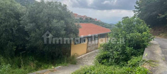 1 room Warehouse in Arnasco, Italy No. 311363 10