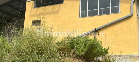 1 room Warehouse in Arnasco, Italy No. 311363 5