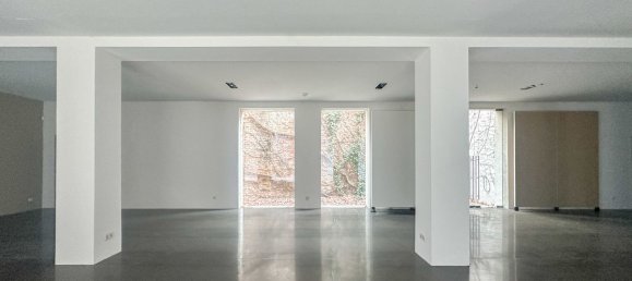 579m² Commercial property in Wahring, Austria No. 127975 10