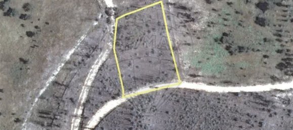 3 chambres Maison à Belver, Portugal No. 16308 10