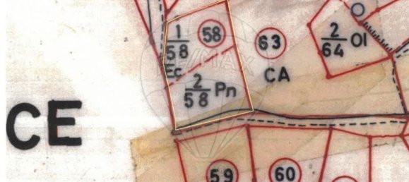 3 chambres Maison à Belver, Portugal No. 16308 27