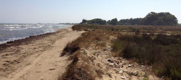  Land in Elis, Greece No. 585 2