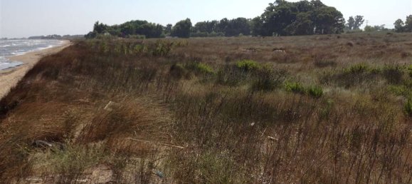  Land in Elis, Greece No. 585 7