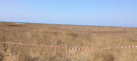  Land in Elis, Greece No. 585 16