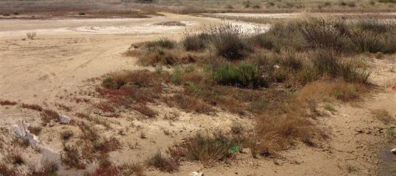  Land in Elis, Greece No. 585 8