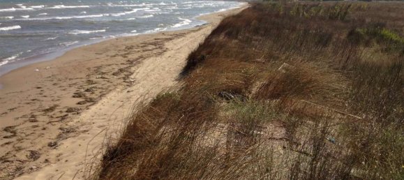  Land in Elis, Greece No. 585 4