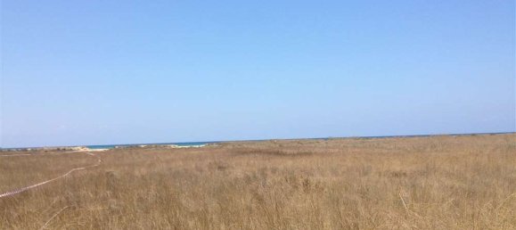  Land in Elis, Greece No. 585 10