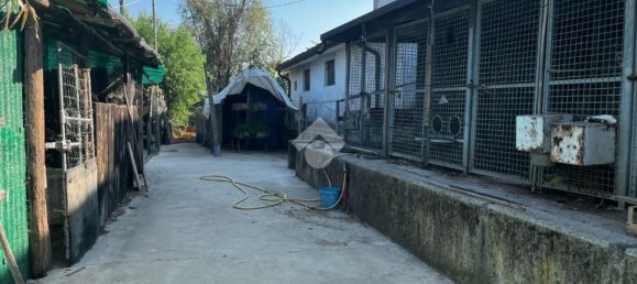 10 Schlafzimmer Haus in San Benedetto Po, Italy, Nr. 362853 22