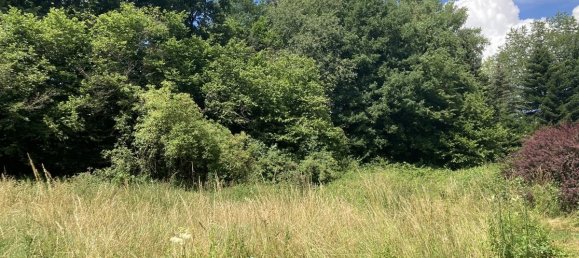  Land in Rhein-Sieg, Germany No. 177966 2