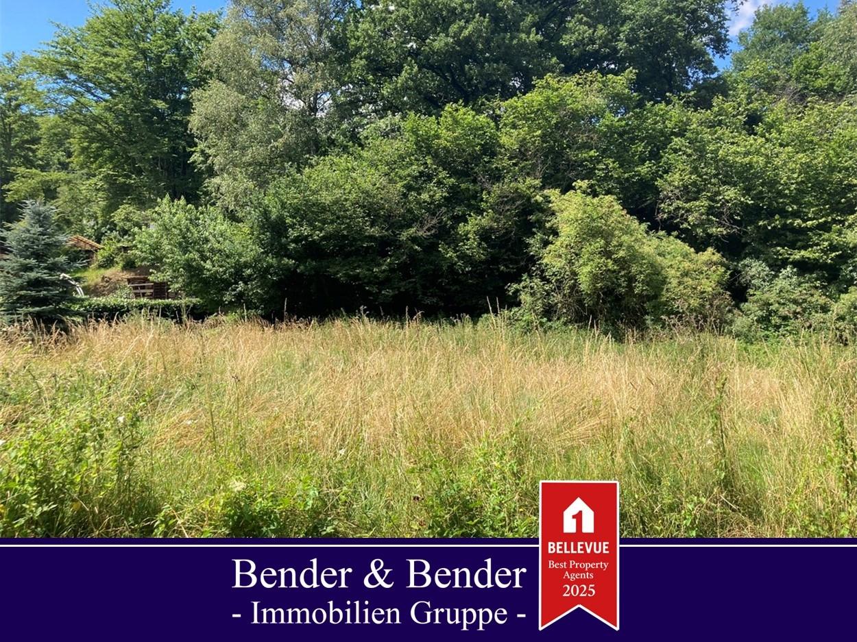  Land in Rhein-Sieg, Germany No. 177966