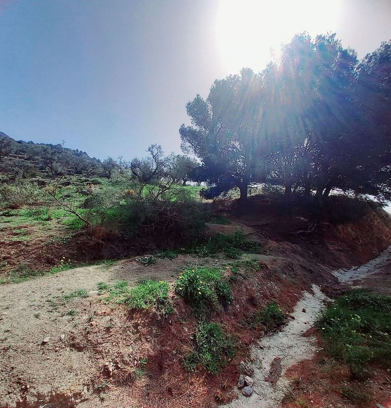 16218m² Land in Canillas de Aceituno, Spain No. 220837