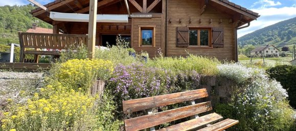 4 bedrooms House in Ventron, France No. 88210 8