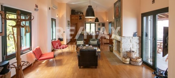 4 dormitorios propiedad comercial en venta en Mouresi, Zagora-Mouresi, Magnesia, Thessaly, Thessaly and Central Greece, Greece № 46777 10