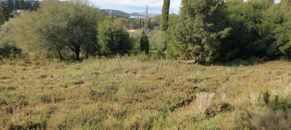 6000m² Hotel in Corfu, Greece No. 5914 11