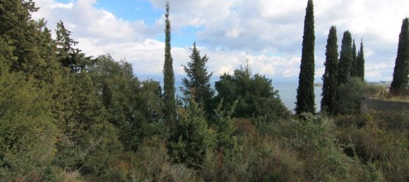 6000m² Hotel in Corfu, Greece No. 5914 14