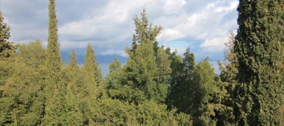 6000m² Hotel in Corfu, Greece No. 5914 21