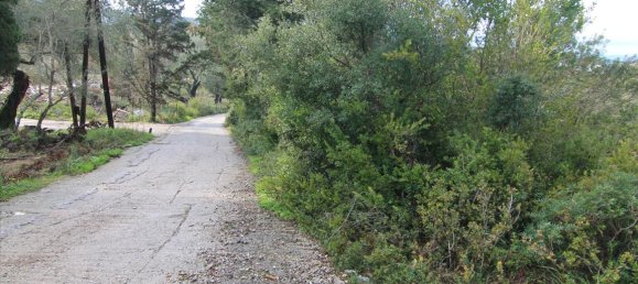 6000m² Hotel in Corfu, Greece No. 5914 4