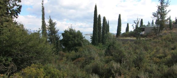 6000m² Hotel in Corfu, Greece No. 5914 16