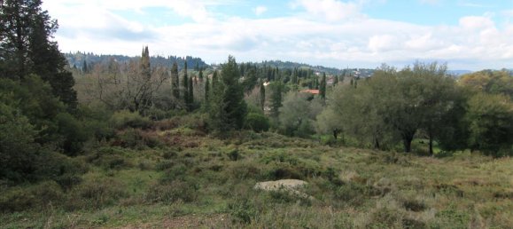 6000m² Hotel in Corfu, Greece No. 5914 6