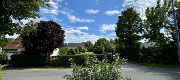 2 bedrooms Duplex in Oder-Spree, Germany No. 263452 17