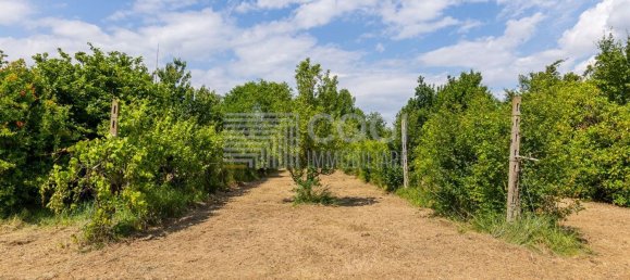 6 rooms House in Conselice, Italy No. 299520 10