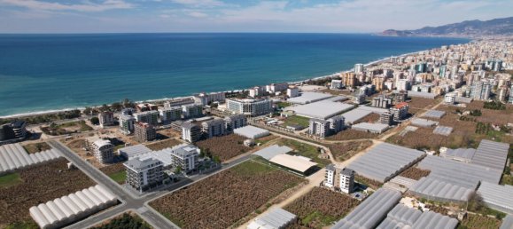 Apartment 1+1 in Alanya, Turkey No. 3694 14