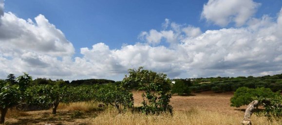 2 bedrooms House in Martina Franca, Italy No. 109768 11