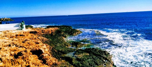 Вилла с 6 спальнями в Торревьеха, Испания № 51644 7