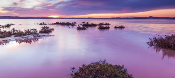 Вилла с 6 спальнями в Торревьеха, Испания № 51644 5