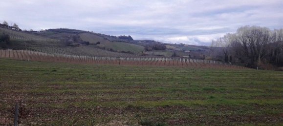 15553m² Land in Villamagna, Italy No. 171790 4