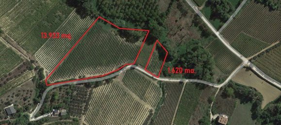 15553m² Land in Villamagna, Italy No. 171790 5