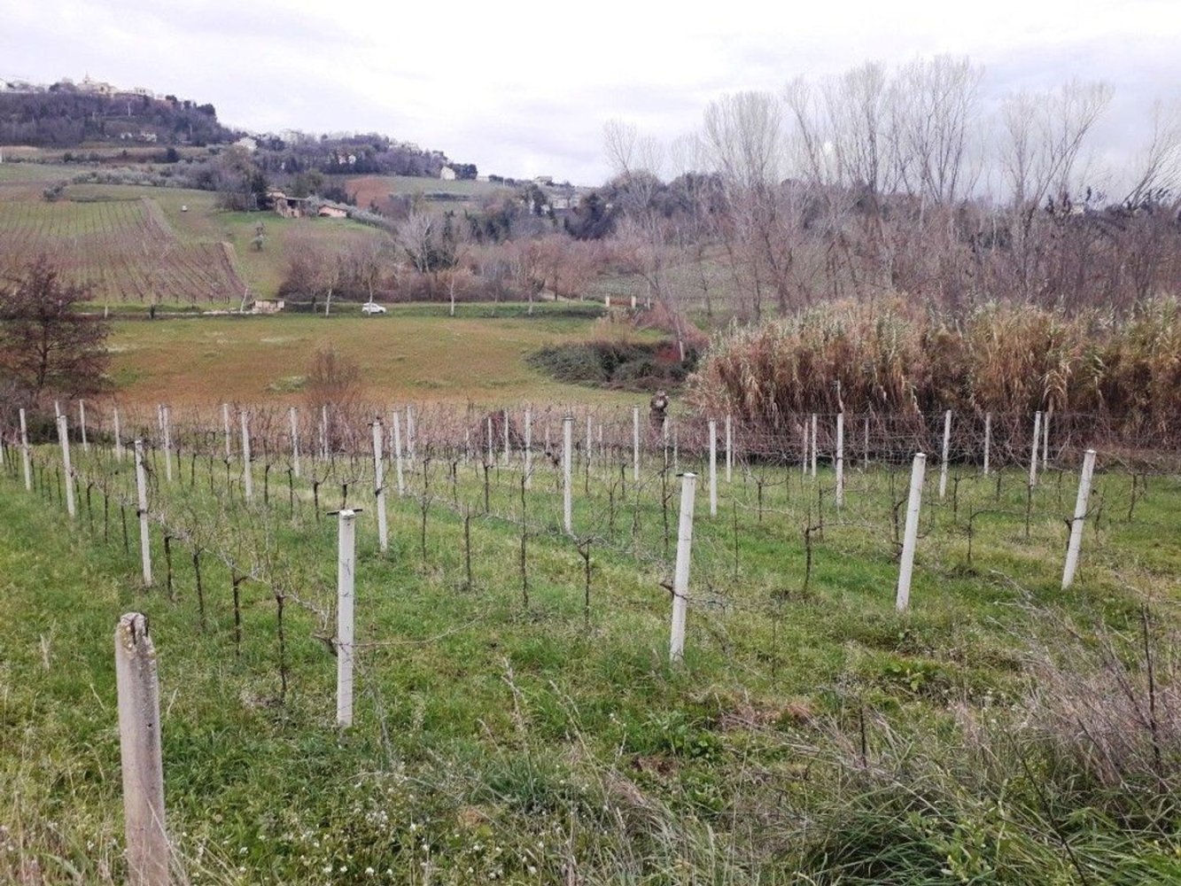 15553m² Land in Villamagna, Italy No. 171790