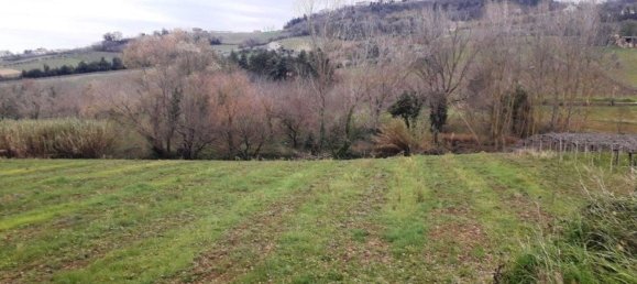 15553m² Land in Villamagna, Italy No. 171790 3