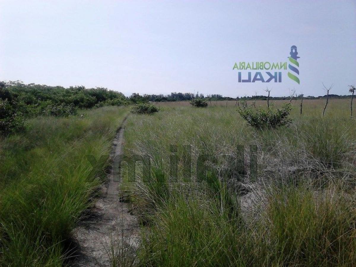  Land in Veracruz, Mexico No. 204003