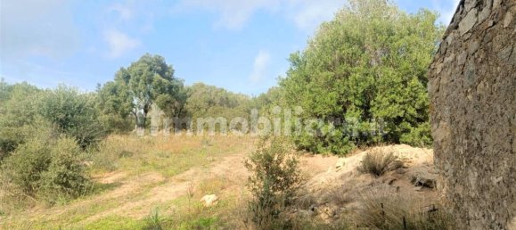 Terreno en Monti, Italy 12000 m² No. 92076 12