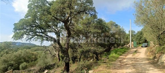 Terreno en Monti, Italy 12000 m² No. 92076 3