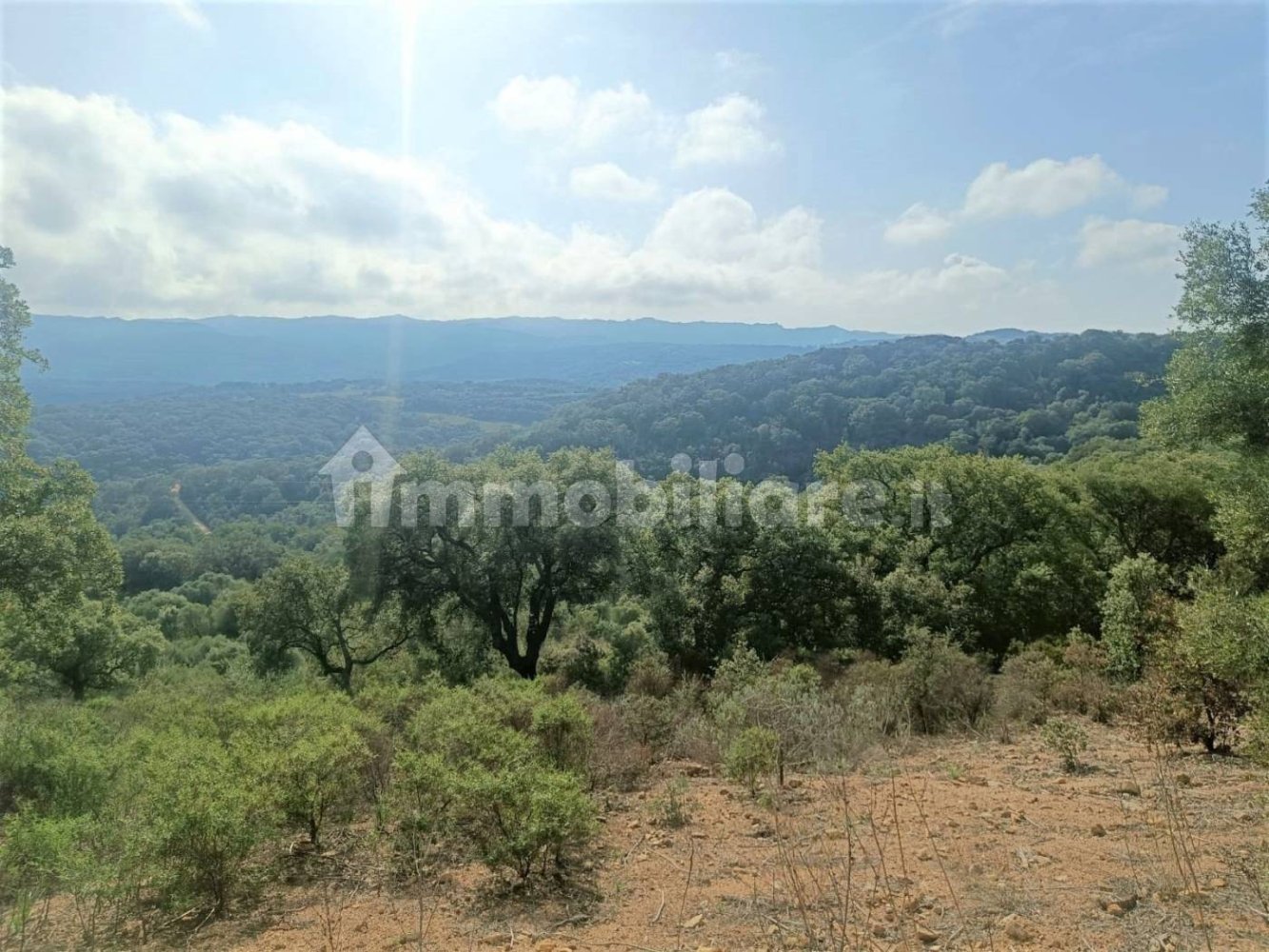 Terreno en Monti, Italy 12000 m² No. 92076