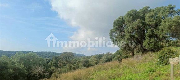 Terreno en Monti, Italy 12000 m² No. 92076 10