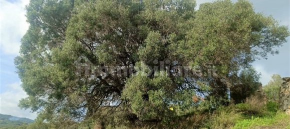 Terreno en Monti, Italy 12000 m² No. 92076 8