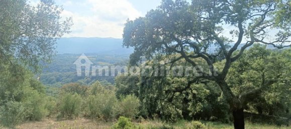 Terreno en Monti, Italy 12000 m² No. 92076 2