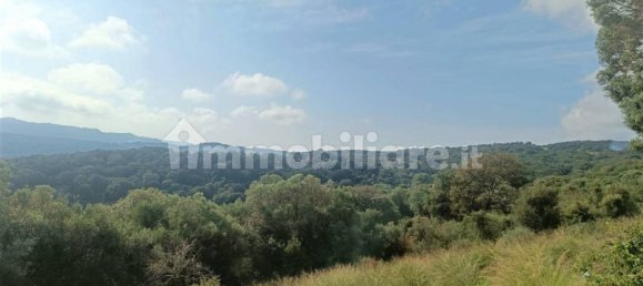 Terreno en Monti, Italy 12000 m² No. 92076 9